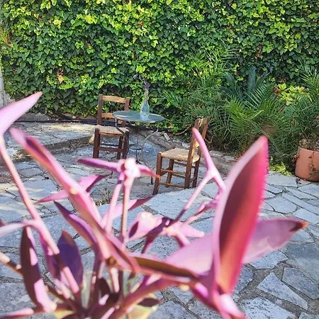 λιακωτό * Παναγιά